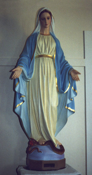 Blessed Virgin Mary - Our Lady Immaculate Statue